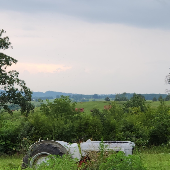 Meet your Posher, Kathy - Picture 5 of 12